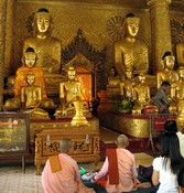 Groups of Buddhas: Shwedagon Pagoda