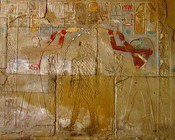 Nearby, Hatshepsut being purified by Thoth and Horus