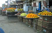 A fruit stand on the highway in Giza