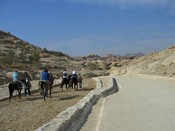 Walk down into Petra on th paved path, <br>or ride down on horseback.
