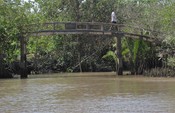 A bridge over a creek