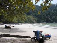 A big and undcrowded beach.  There's a van to take you, or you can walk thru the rainforest. (707x530, 92.1 kilobytes)