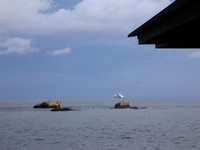 The white ocean liner in the background is used for training by the Malaysian navy, which has a big base at Lumut (LooMUT), on the mainland to the left. (667x500, 44.7 kilobytes)