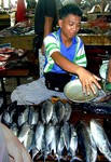 Cleaning his scale to weigh more bonito (344x500, 85.3 kilobytes)