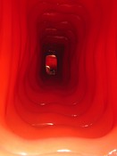 ... the hollow and bodily interior of the toppled skyscraper ...