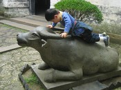 Boy on a Bull