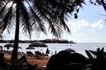 A view from under the trees