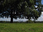 From Belmont Plateau, a couple of miles up the Schuylkill River