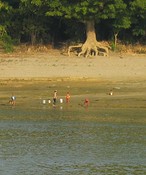 Down to the river to wash, play, and fill the water buckets