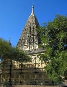 MahaBodhi