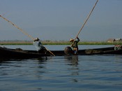 Digging vegetation and muck from the lake bottom