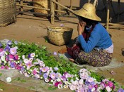 Flowers for sale at the Intain market