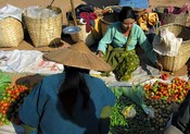 Tomato lady and customer