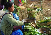 Betel Leaf.  Sold by the battery-weight.