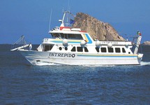 Our excursion boat, the Intrepido, passes the Formiche, off Panarea (681x475, 96.7 kilobytes)