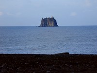 Between the Stromboli beach and Strombolicchio, dolphins were playing. (667x500, 96.9 kilobytes)