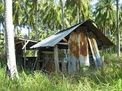 Remains of a shack in a plantation in the middle of the island