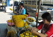 Stitching flowers together to make the garland that is proper for Buddha at the current season.