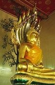 Buddha under the Naga's Hood