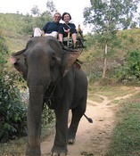 Max and Gloria on the elephant path