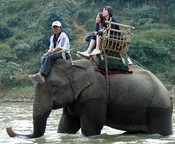 Two other tourists, with mahout, in the river.